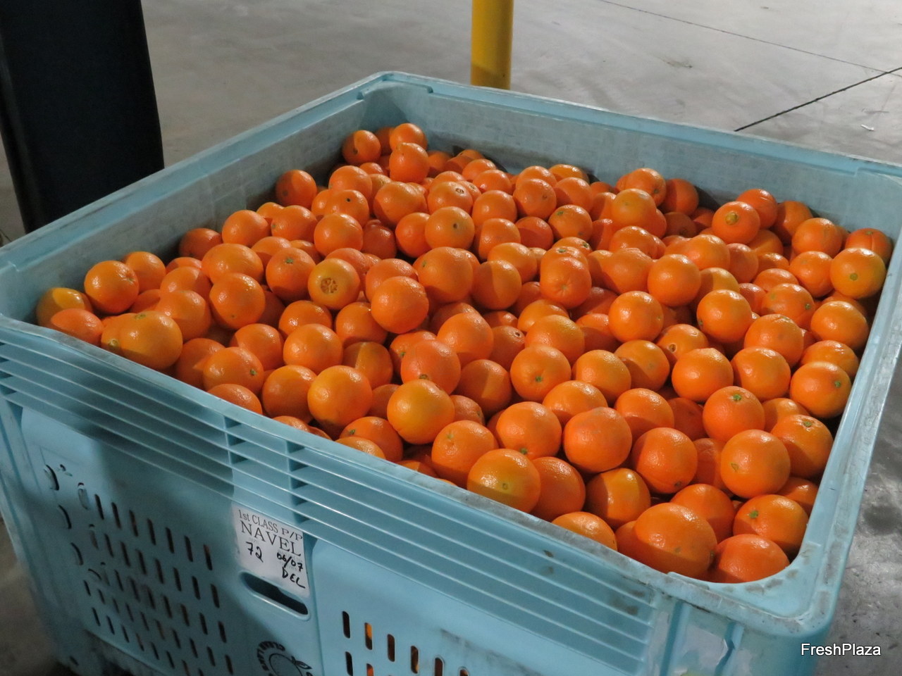 Reemoon Fruscan S7 Pro at Clear Lake Citrus